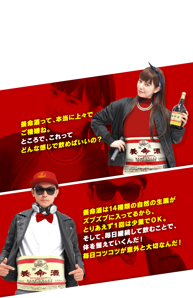 毎日コツコツで上々！！養命酒って、本当に上々でご機嫌ね。ところで、これってどんな感じで飲めばいいの？養命酒は14種類の自然の生薬がズブズブに入ってるから、とりあえず１回は少量でＯＫ。そして、毎日継続して飲むことで、体を整えていくんだ！毎日コツコツが意外と大切なんだ！